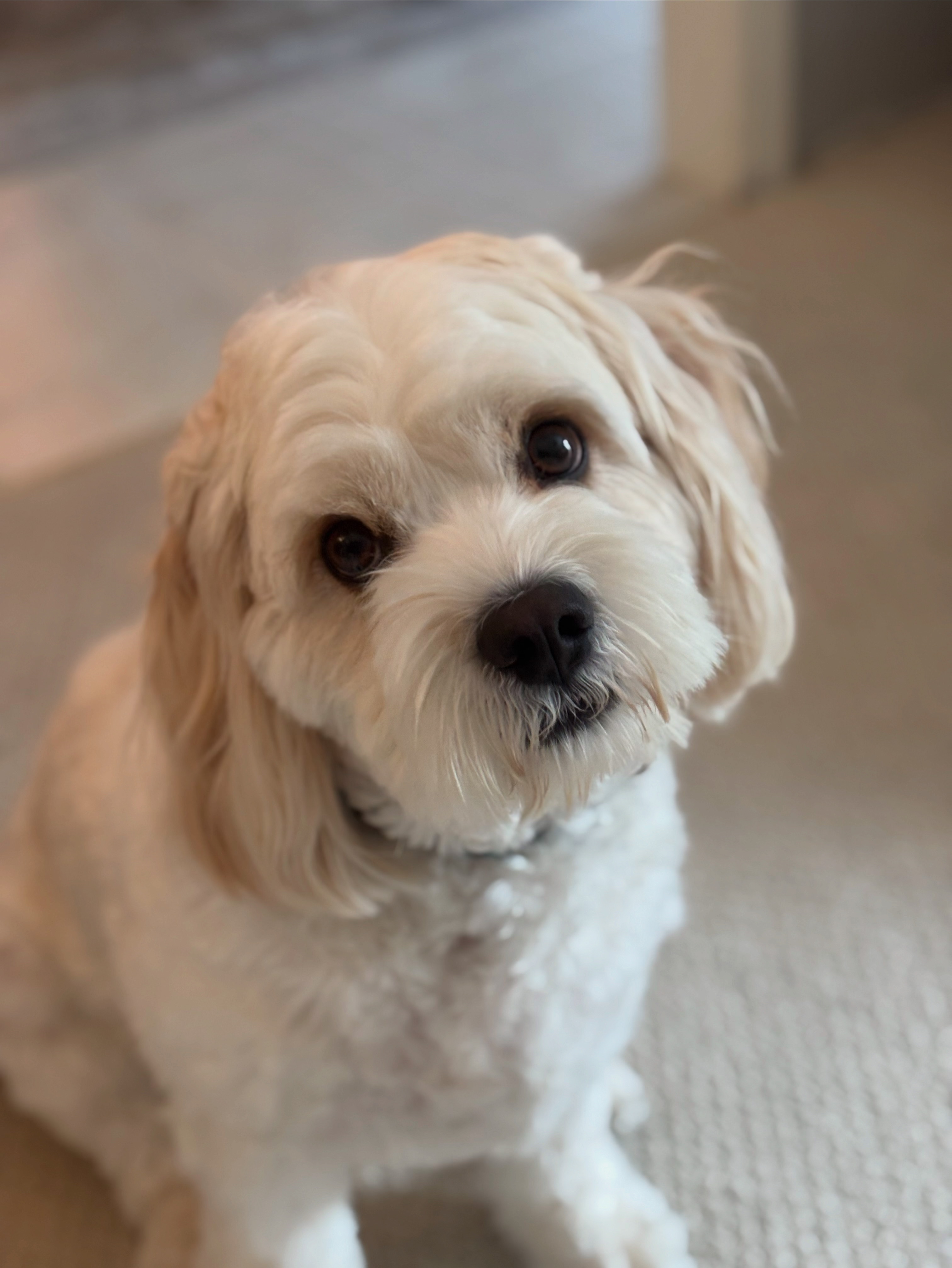 Copy of E7EBC067-7922-4255-928C-5DC973BD44CA